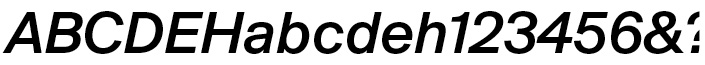 Suisse BP Int'l Medium Italic