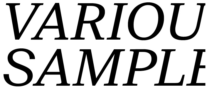 Suisse BP Neue Regular Italic