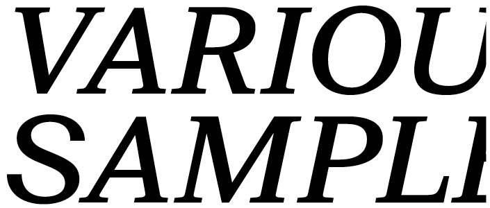 Suisse BP Neue Medium Italic