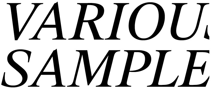 Suisse BP Serif Regular Italic