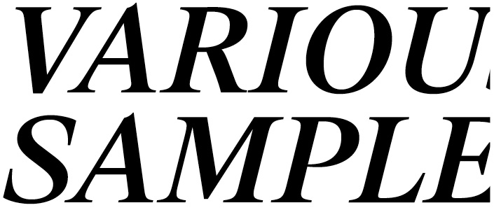 Suisse BP Serif Medium Italic
