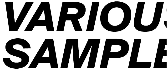 Suisse BP Int'l Bold Italic