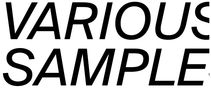 Suisse BP Int'l Regular Italic